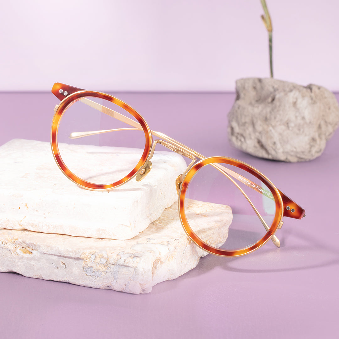 Titanium Round Glasses