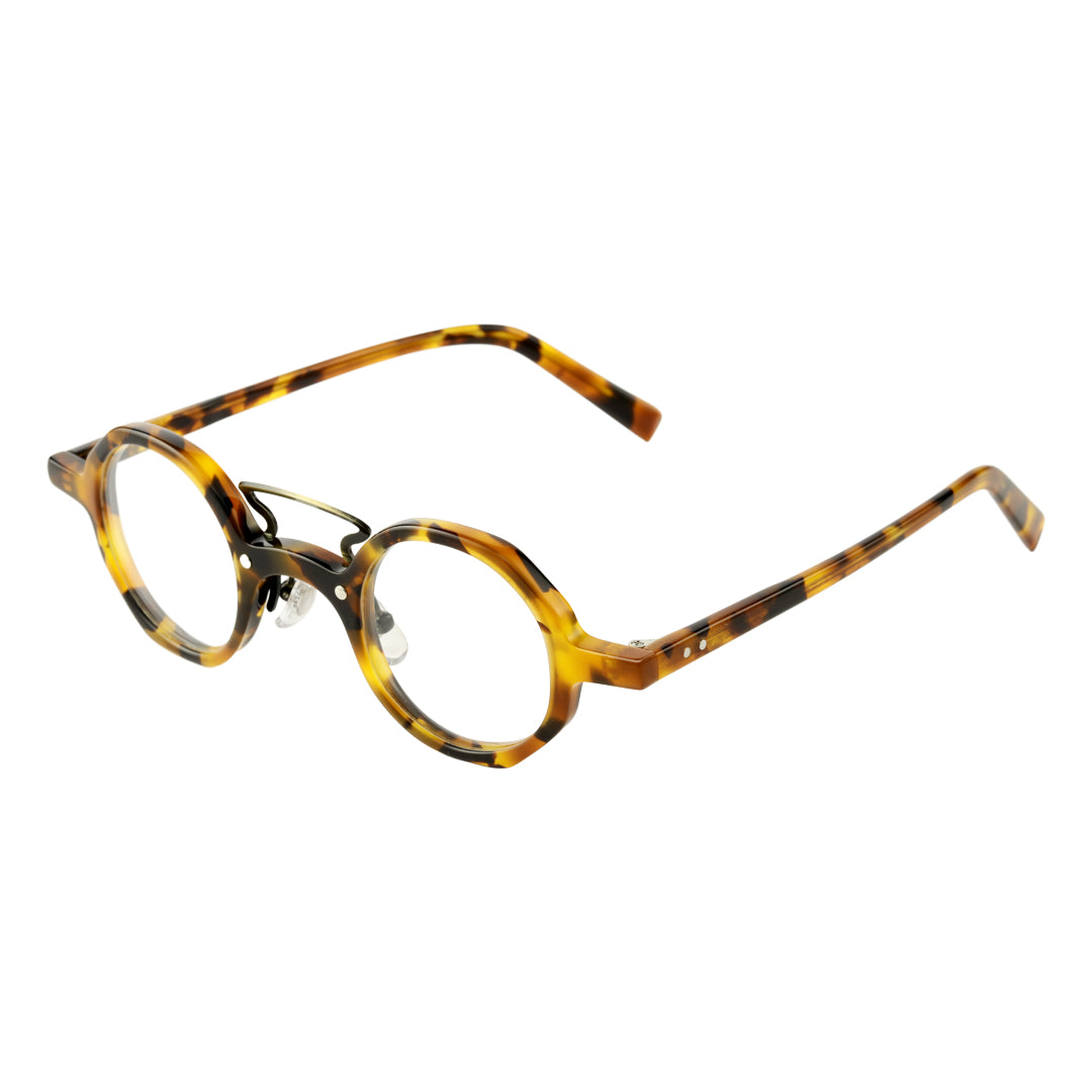 Polarized Tinted Lenses