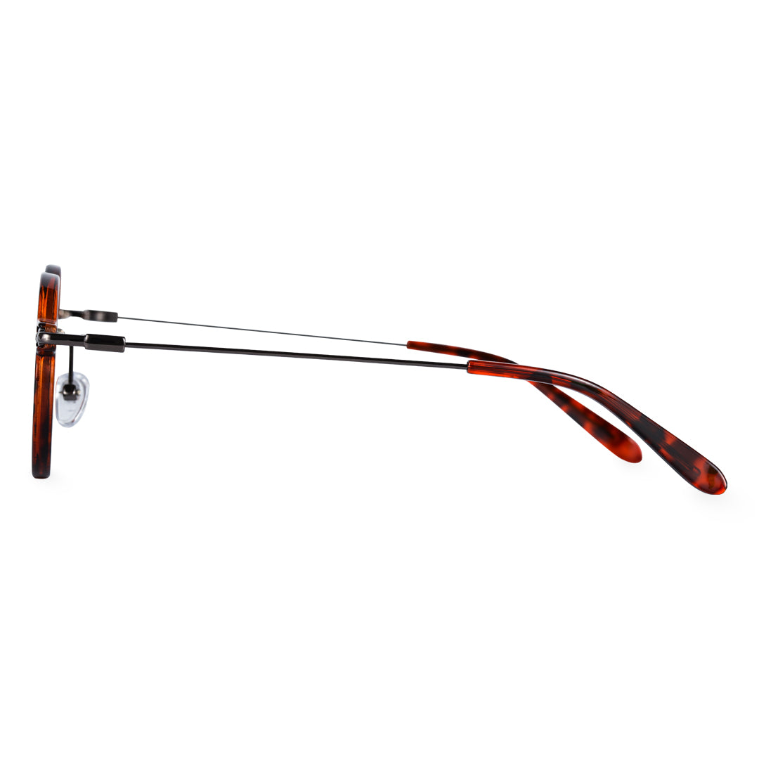 Tortoiseshell Glasses