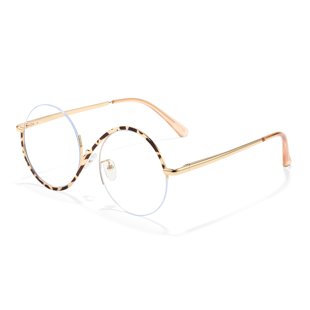 Wizard Metal Round Frames with Prescription Glasses